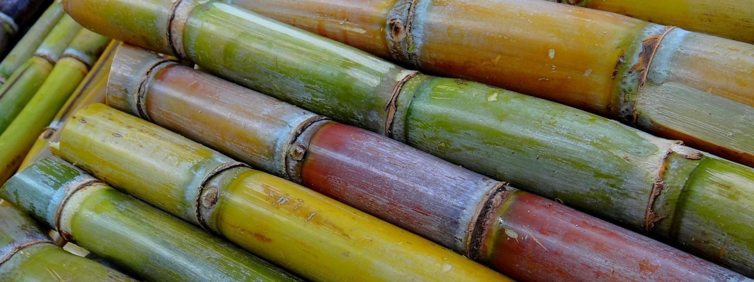 Bottle of dark spiced rum on white background