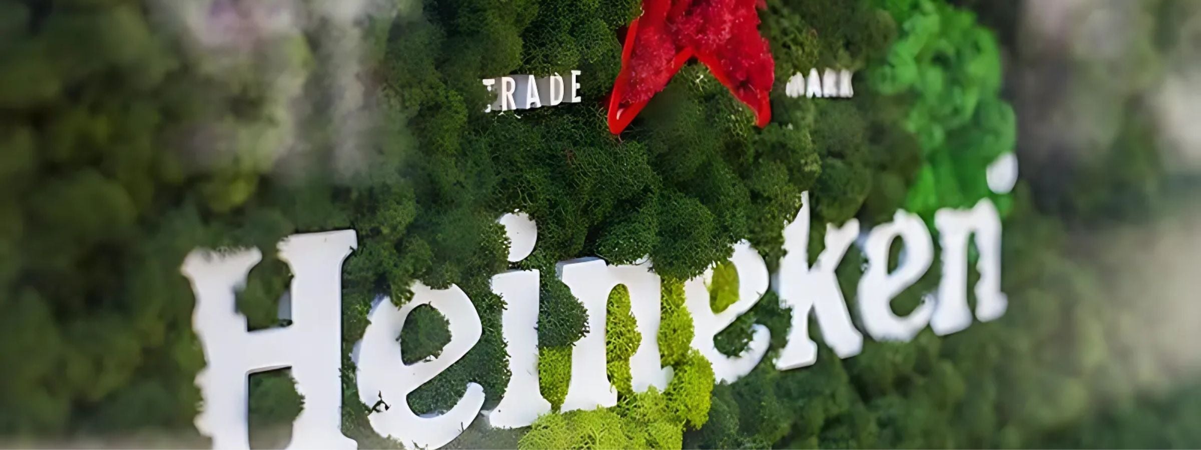 Heineken branded alcohol bottles arranged for display