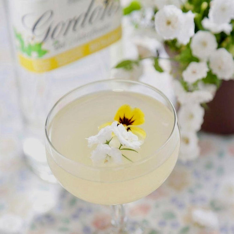 Gordon’s elderflower gin, 70cl Citywide Drinks